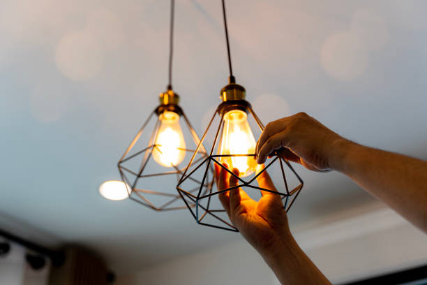 Best Local Electrician Companies  in Lake Leann, MI